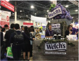 Experiential Activations